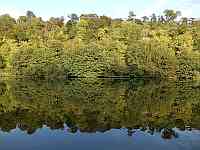 Click to Enlarge